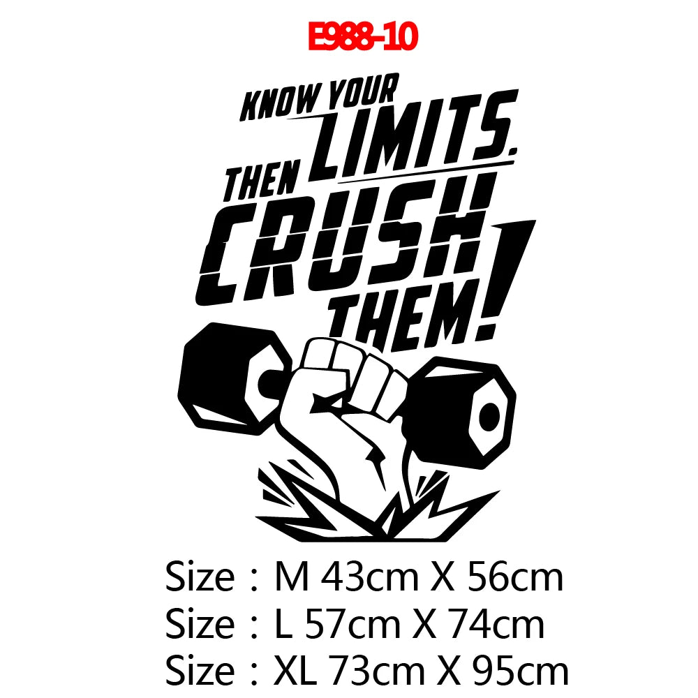 Große 73cmX104cm Fitness Zitat Vinyl Wand Aufkleber Für Studio Zimmer Decor Fitness Zimmer Aufkleber Motivieren Frse Vinyl Wand Abziehbilder